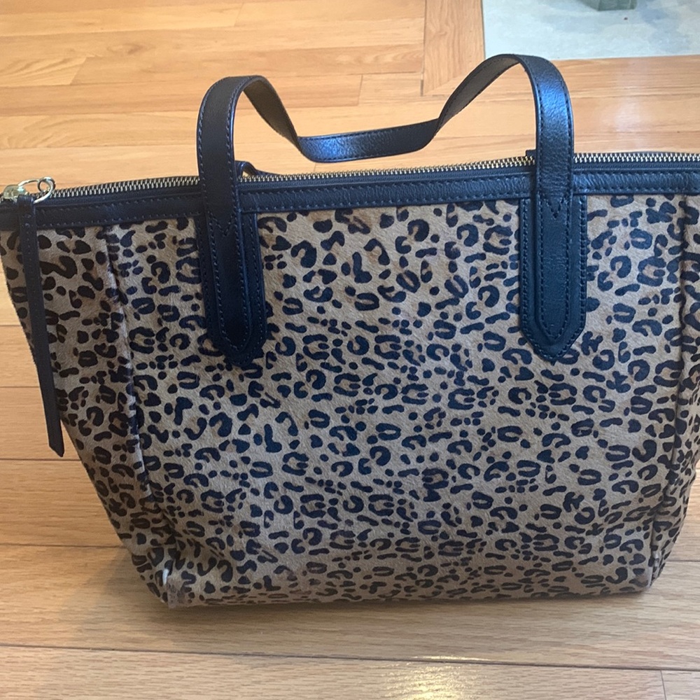 Fossil bag